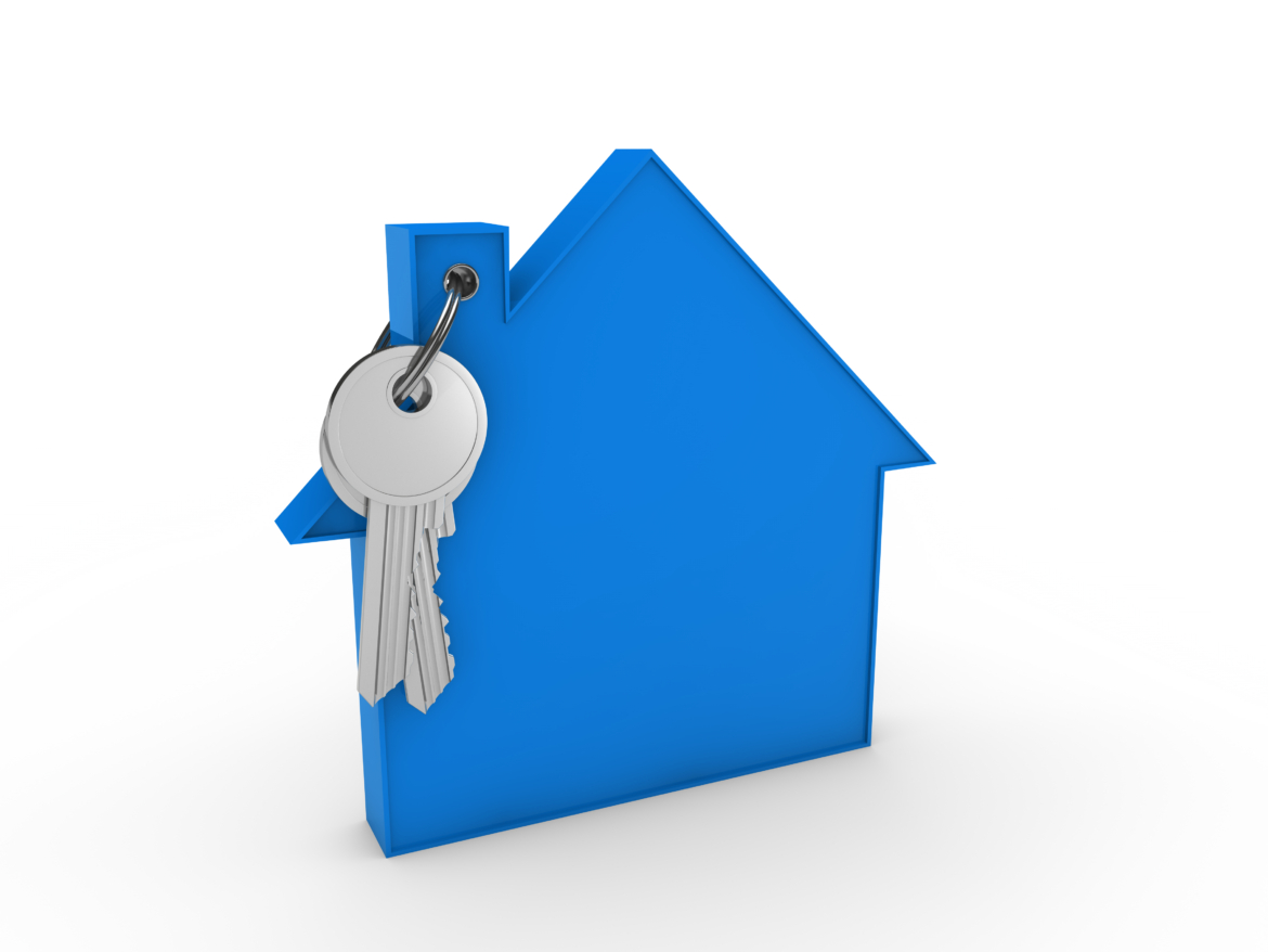 3d house key blue