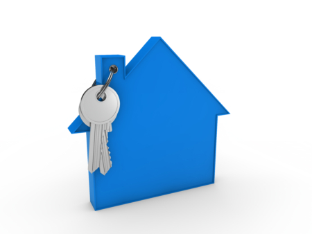 3d house key blue